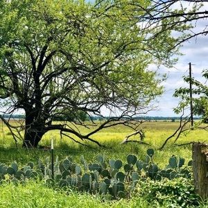 Meet your Posher, Kay